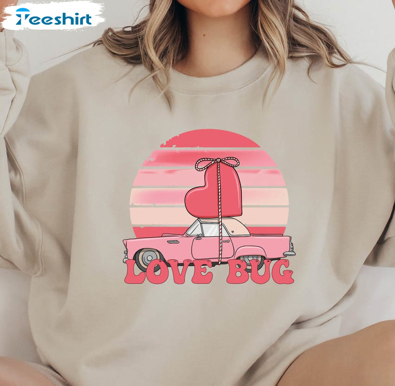 Love Bug Valentines Sweatshirt, Funny Valentine Unisex Hoodie Short Sleeve