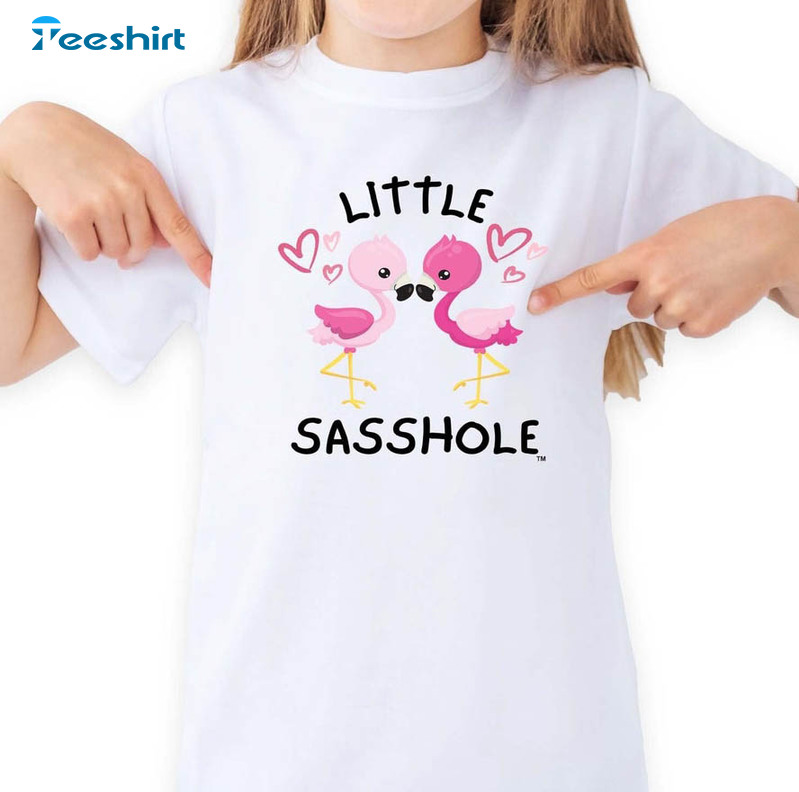 Little Sasshole Flamingo Shirt, Cute Unisex T-shirt Short Sleeve