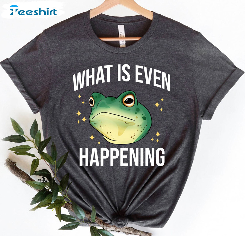 What Is Even Happening Sweatshirt, Frog Meme Sweatshirt Long Sleeve