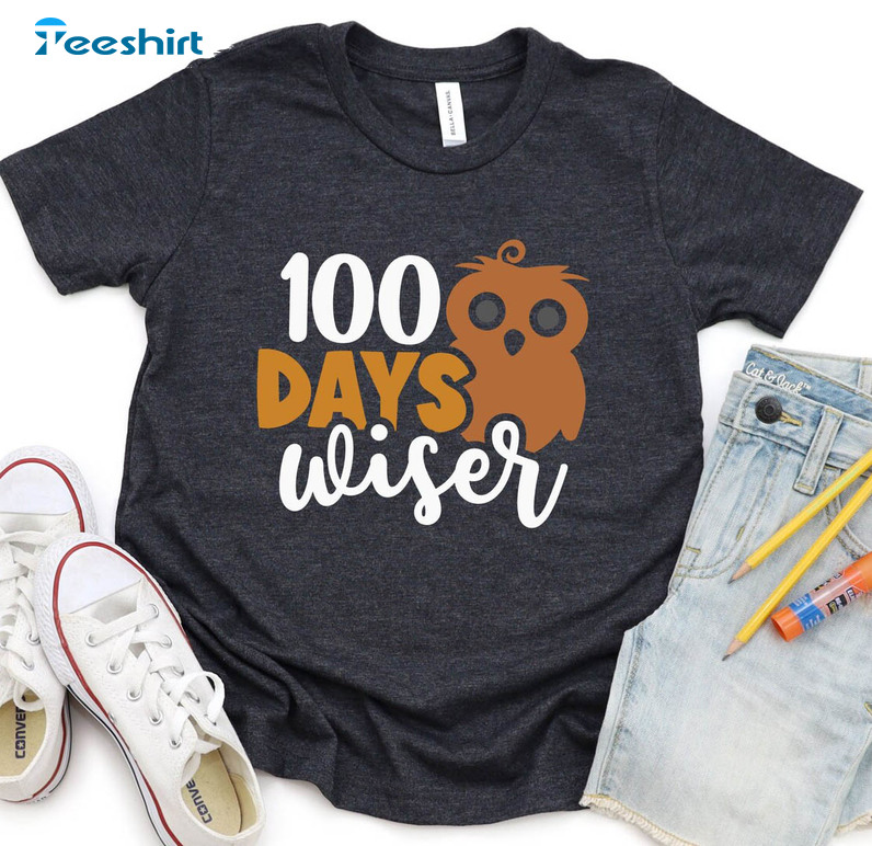 100 Days Wiser School Shirt , 100th Day Funny Crewneck Unisex Hoodie