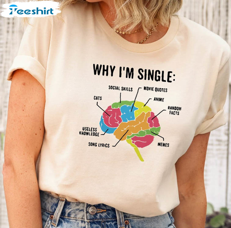 Why I Am Single Shirt, Funny Valentines Day Unisex Hoodie Crewneck