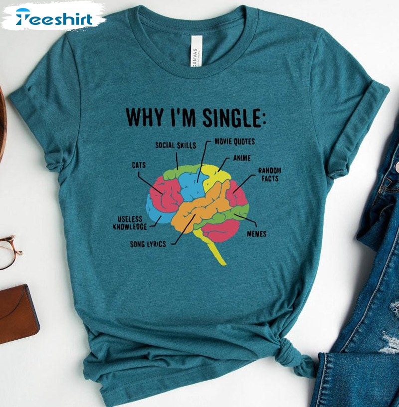 Why I Am Single Funny Shirt, Valentines Day Crewneck Sweatshirt