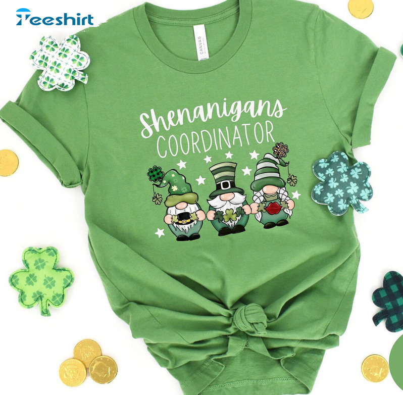 Gnomes Shenanigans Coordinator Shirt, St Patricks Day Crewneck Unisex Hoodie