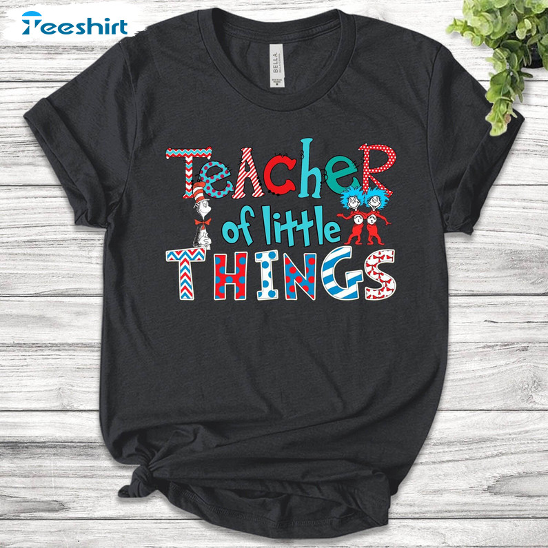 Teacher Of Little Things Shirt , Teacher Cat In Hat Unisex Hoodie Tee Tops