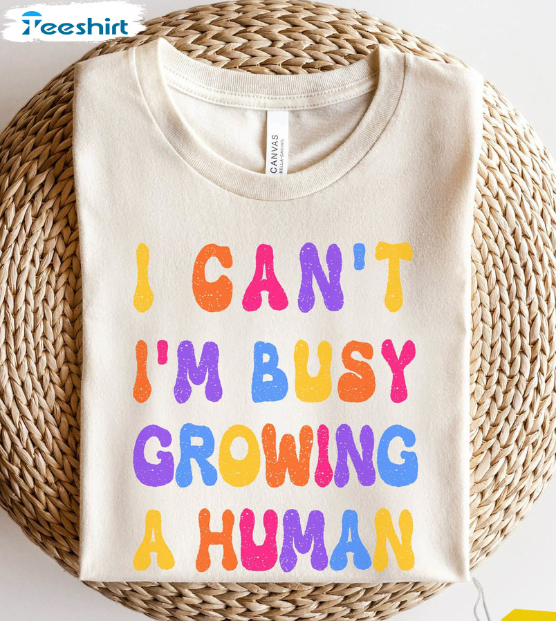  I Can't I'm Busy Growing A Human Shirt, Mom Tee, Baby