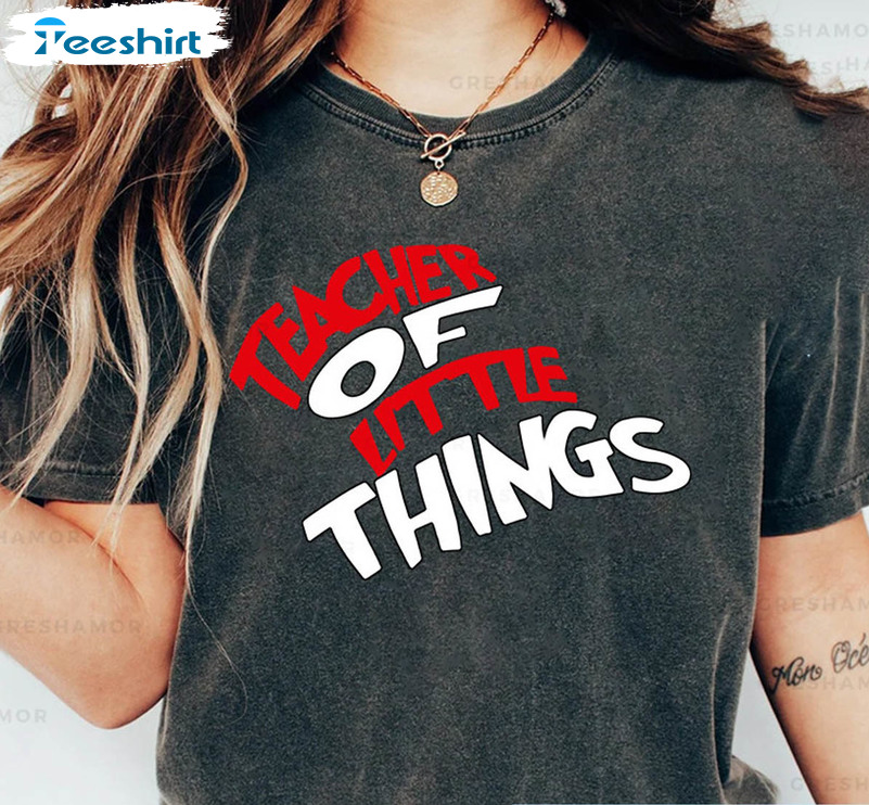 Teacher Of Little Things Shirt, Trendy Reading Day Short Sleeve Sweater