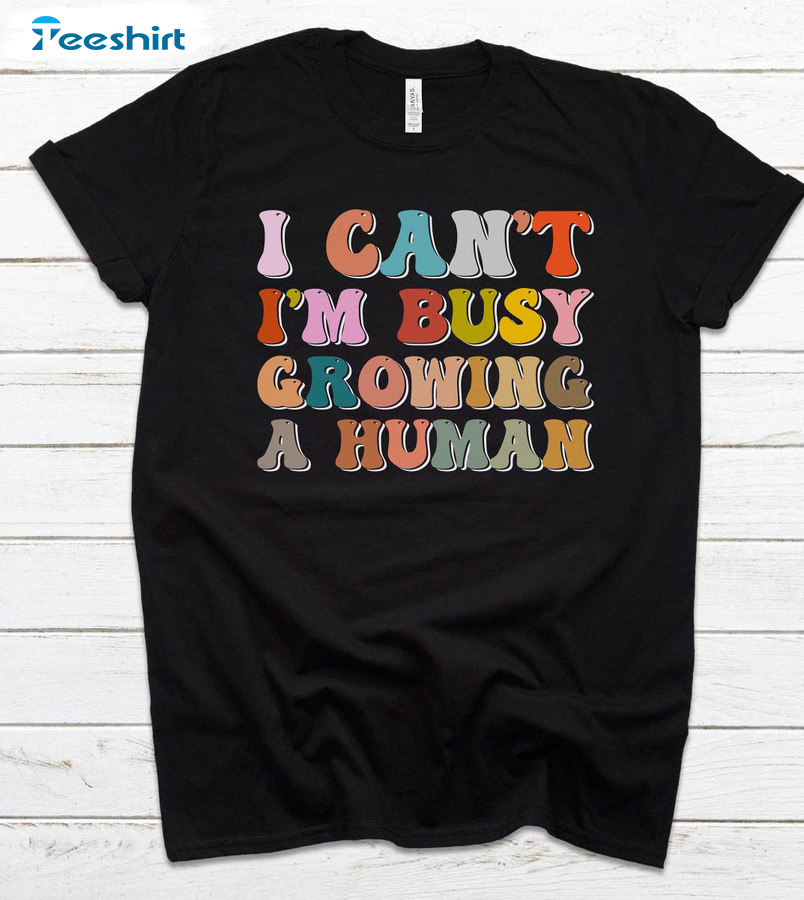 Vintage I Can't I'm Busy Growing A Human Shirt, Pregnancy Announcement Long Sleeve Unisex Hoodie