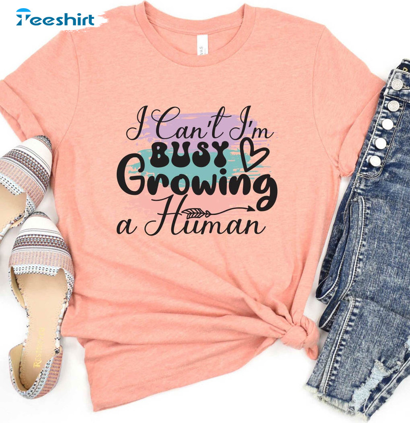  I Can't I'm Busy Growing A Human Shirt, Mom Tee, Baby