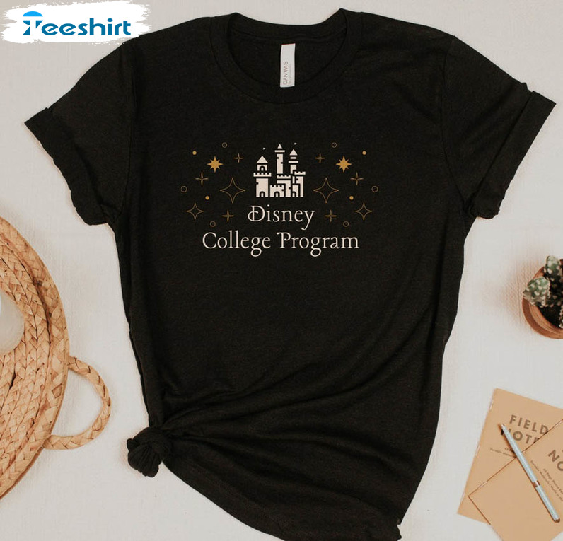 Disney College Program Castle And Stars Funny Sweatshirt, Unisex Hoodie