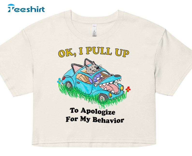 Ok I Pull Up Shirt, Funny Unisex Hoodie Short Sleeve