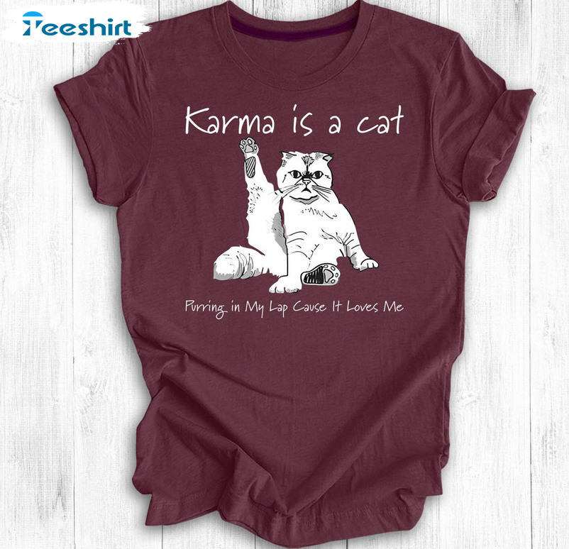 Karma Is A Cat Funny Shirt, Swifties Concert Tee Tops Short Sleeve