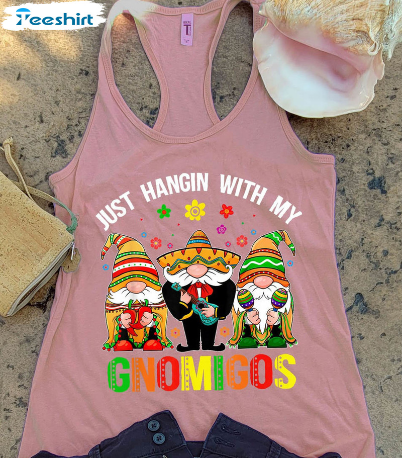 Ladies Tank Top Shirt, Just Hangin With My Gnomigos Unisex Hoodie Crewneck