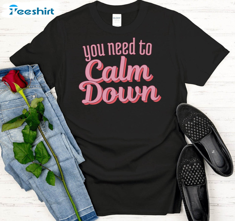 You Need To Calm Down Shirt, Vintage Sweatshirt Tee Tops