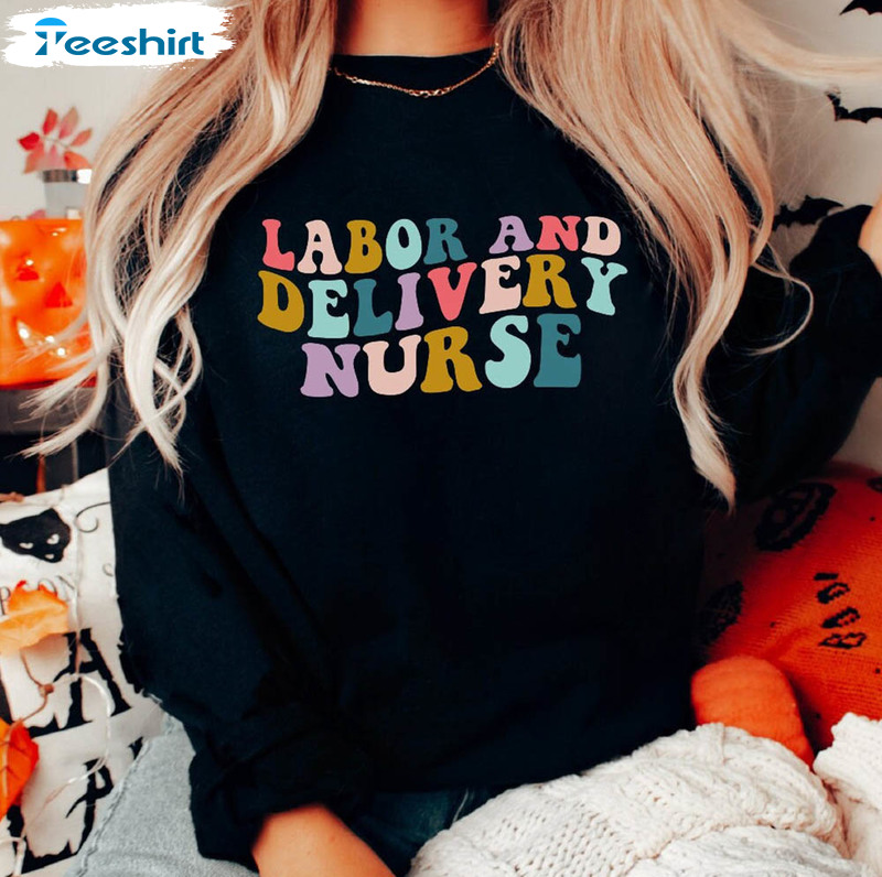 Labor And Delivery Nurse Sweatshirt , L And D Nurse Unisex Hoodie Short Sleeve