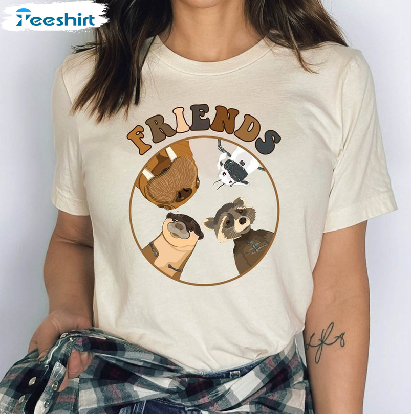 Rocket Raccoon And Friends Marvel Avengers Shirt