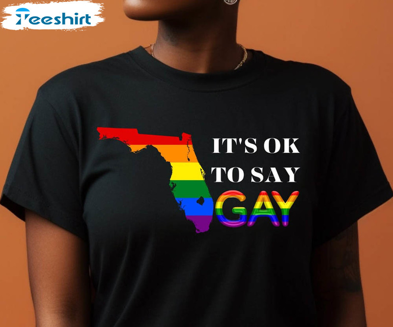 Say Gay Florida It’s Ok To Say Gay Shirt