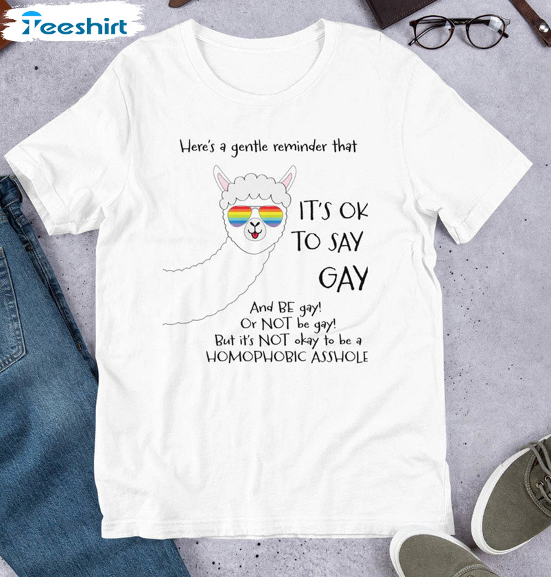 It’s Ok To Say Gay Lgbtq Awareness Gay Rights Shirt