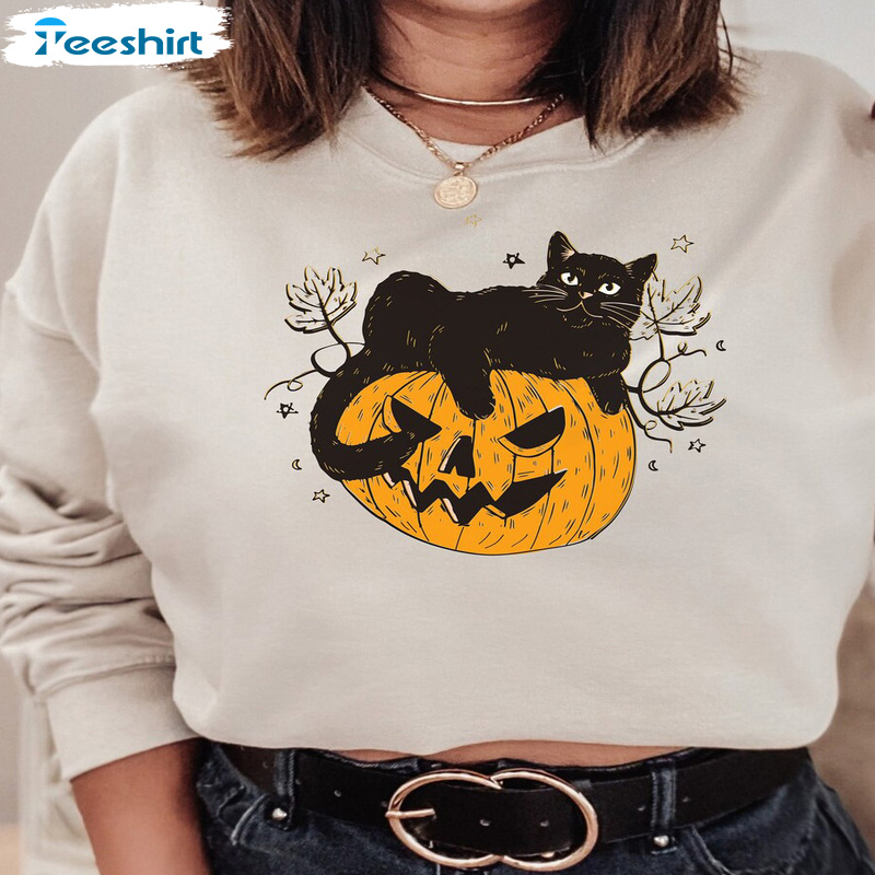 Cute Cat On Pumpkin Shirt, Halloween Sweat Bull Unisex Hoodie, Halloween Black Cat Tee Tops