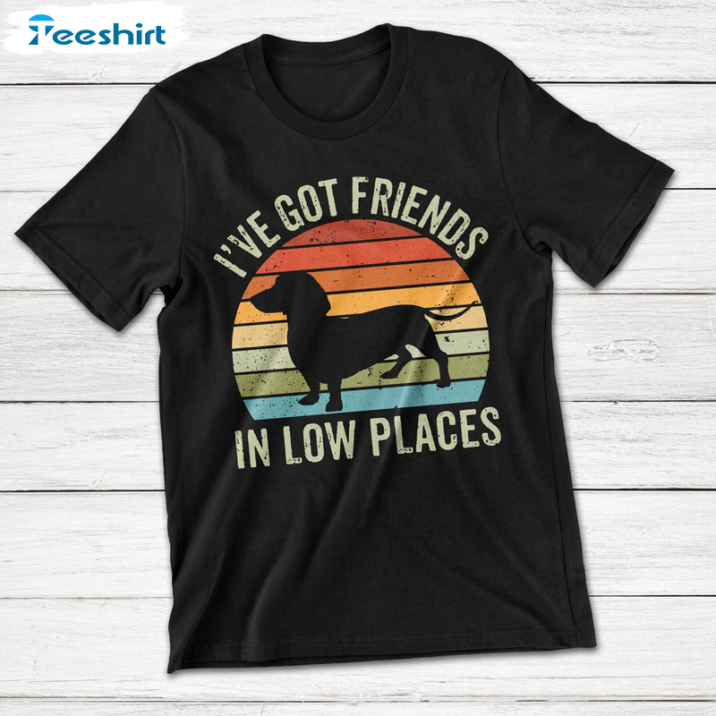 Funny Ive Got Friends In Low Places Shirt For Dachshund Lover