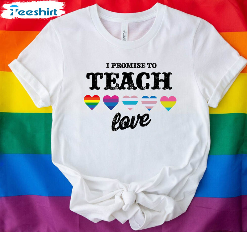 I Promise To Teach Love Equality Pride Shirt