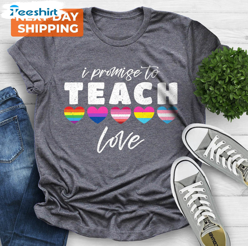 I Promise To Teach Love Special Education Shirt