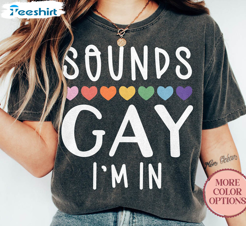 Sounds Gay I M In Equality Rights Lgbt Matching Shirt