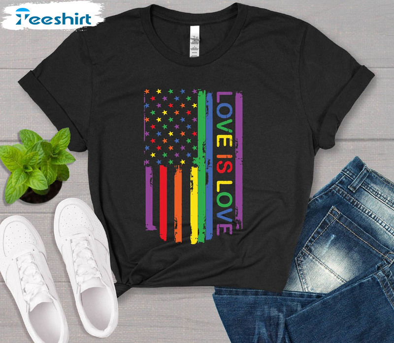 Love Is Love Gay Pride Flag Shirt