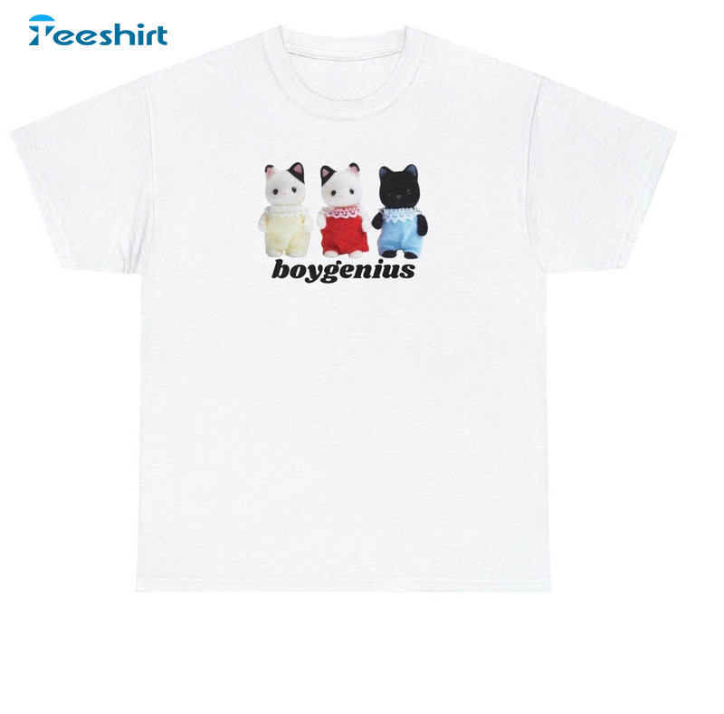 Boygenius Animal Cute Shirt, Boygenius Band Tee Tops Long Sleeve