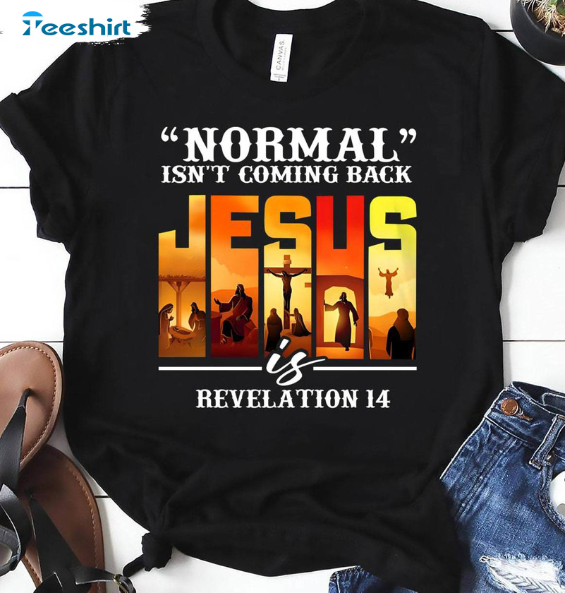 Normal Isnt Coming Back Jesus Is Shirt, American Flag Crewneck Unisex T-shirt