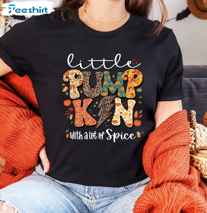 Modern Pumpkin Spice Shirt, Little Pumpkin With A Lot Of Spice Sweater Hoodie