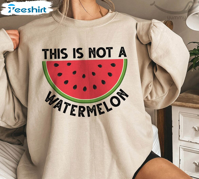 This Is Not A Watermelon Shirt, Palestine Flag Sweater Long Sleeve