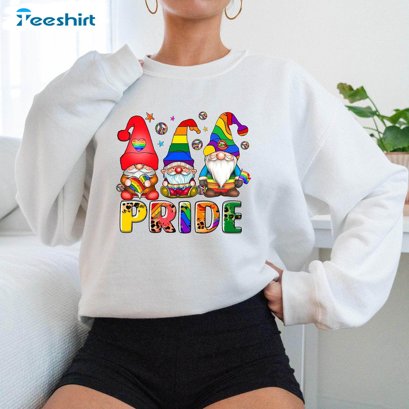 Cute Lgbtq Christmas Gnome Sweatshirt, Pride Human Rights Shirt Unisex T Shirt