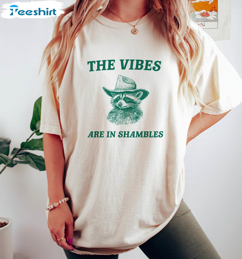Weird Raccoon Inspirational T Shirt, The Vibes Are In Shambles Shirt Sweater