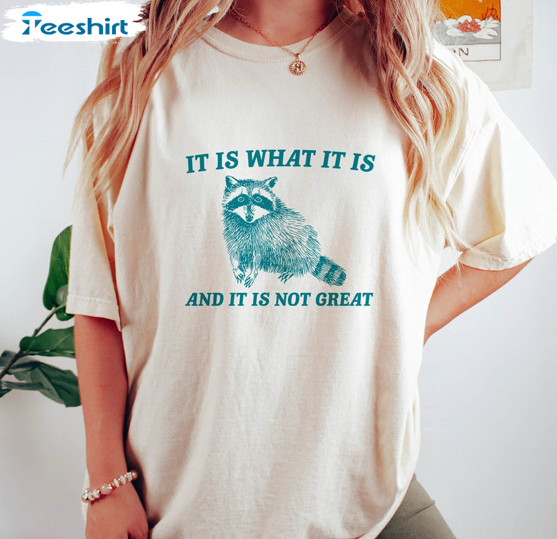 Vintage Drawing T Shirt, New Rare It Is What It Is And It Ain't Great Shirt Hoodie