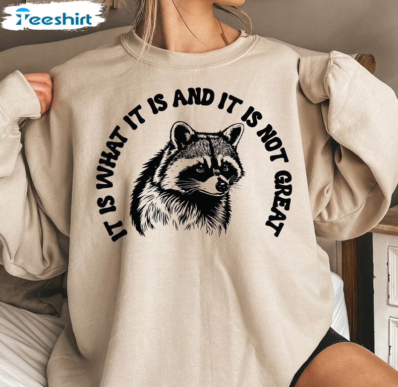 Groovy It Is What It Is And It Ain't Great Shirt, Raccoon Meme T Shirt Short Sleeve