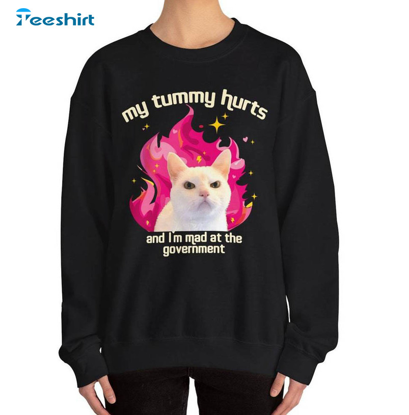 My Tummy Hurts But Im Being Really Brave About It Shirt , I'm Mad At The Government T Shirt Hoodie