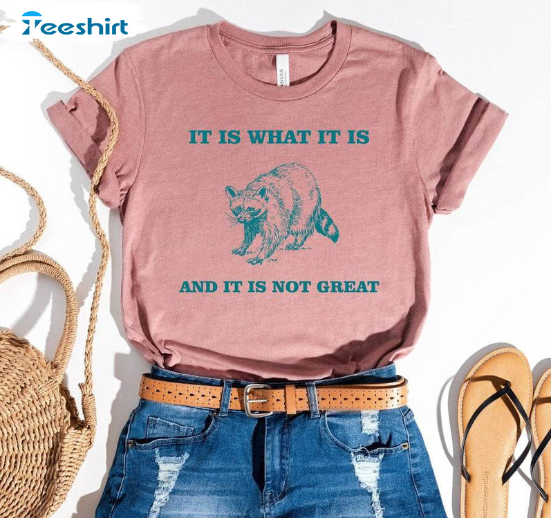 It Is What It Is And It Is Not Great Funny Shirt, Vintage Drawing Raccoon Long Sleeve Tee Tops