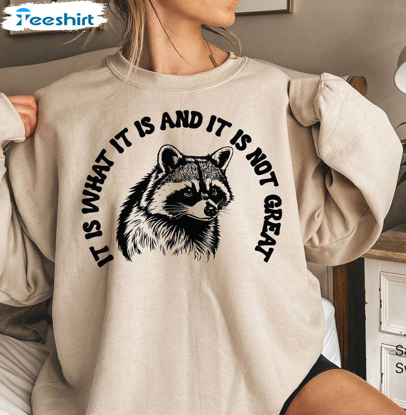 It Is What It Is And It Is Not Great Shirt, Raccoon Meme Short Sleeve Crewneck Sweatshirt