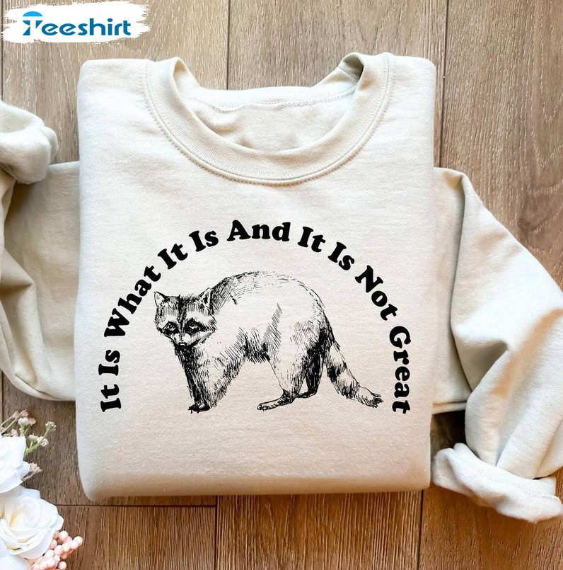 It Is What It Is And It Is Not Great Vintage Shirt, Raccoon Cute Short Sleeve Tee Tops