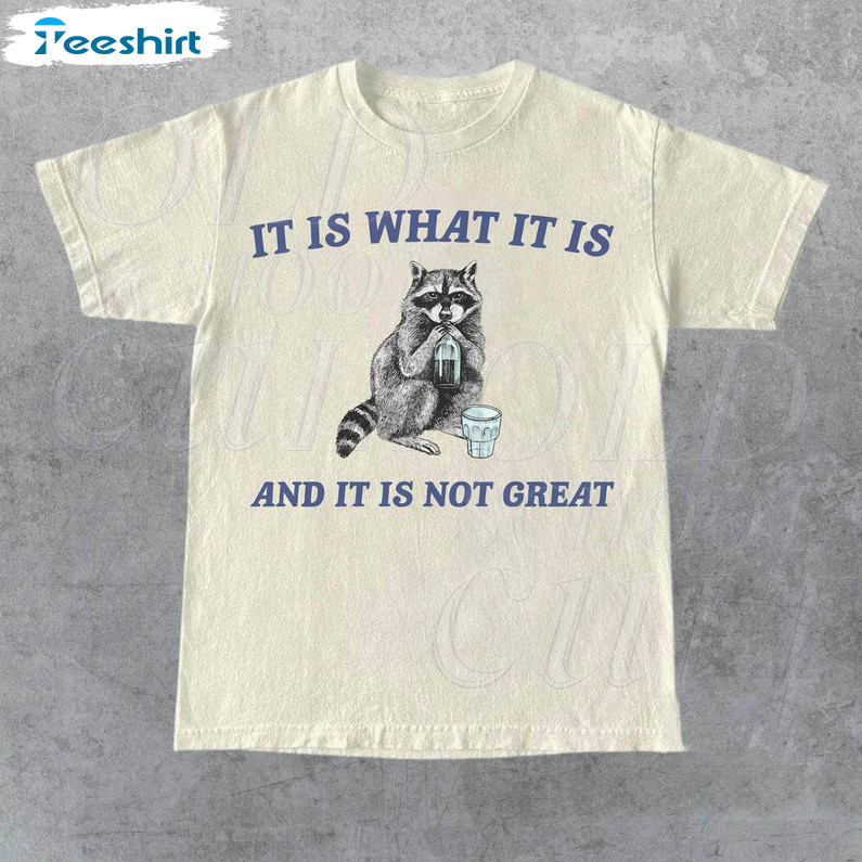 It Is What It Is And It Is Not Great Vintage Shirt, Funny Raccoon Long Sleeve Sweater