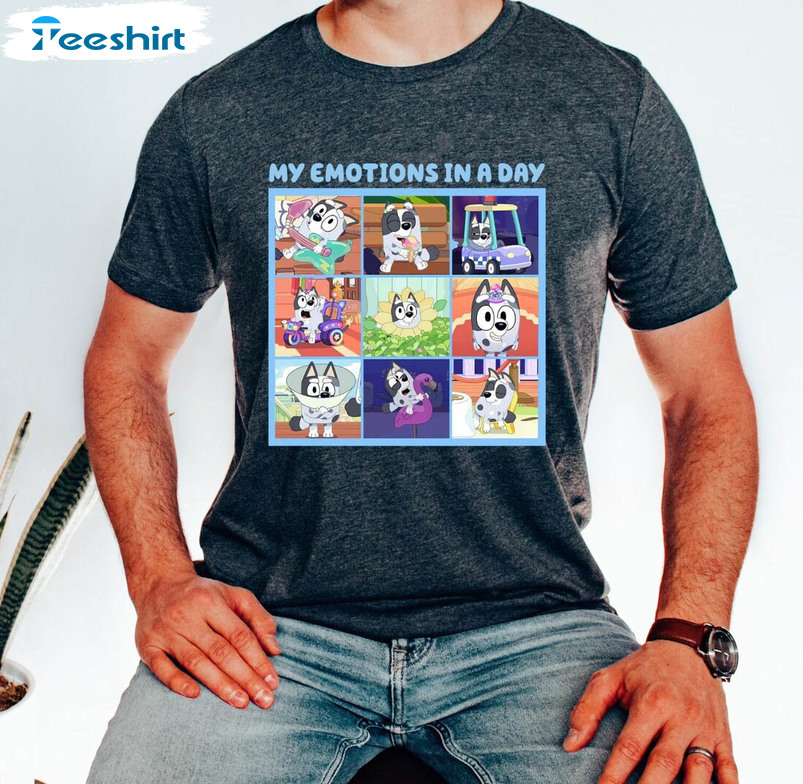 My Emotions In A Day Shirt, Bluey Family Long Sleeve Sweater