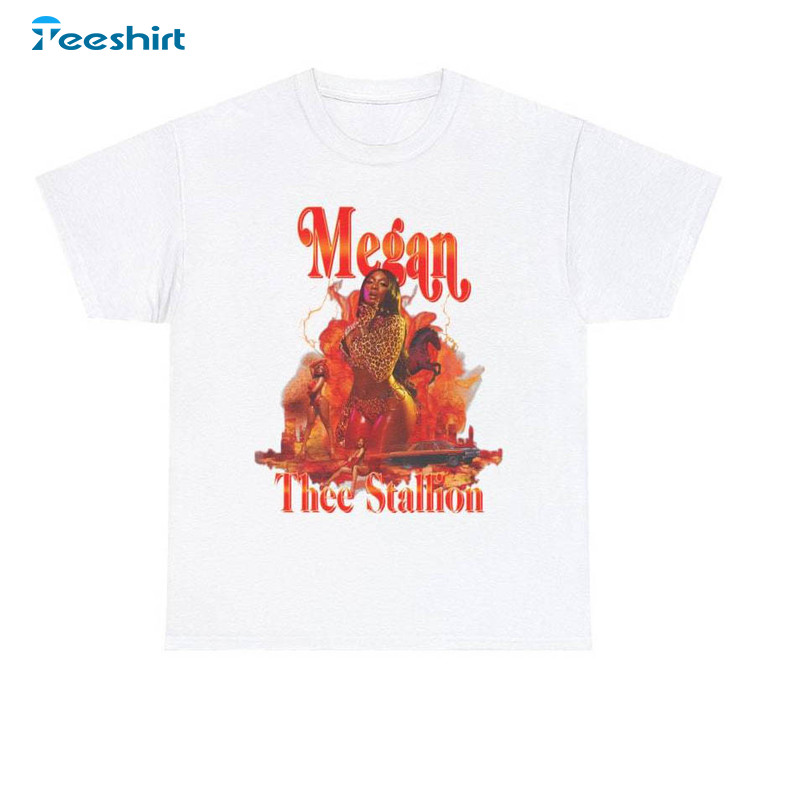 Megan Thee Stallion Shirt, Vintage Music Tour Short Sleeve Long Sleeve