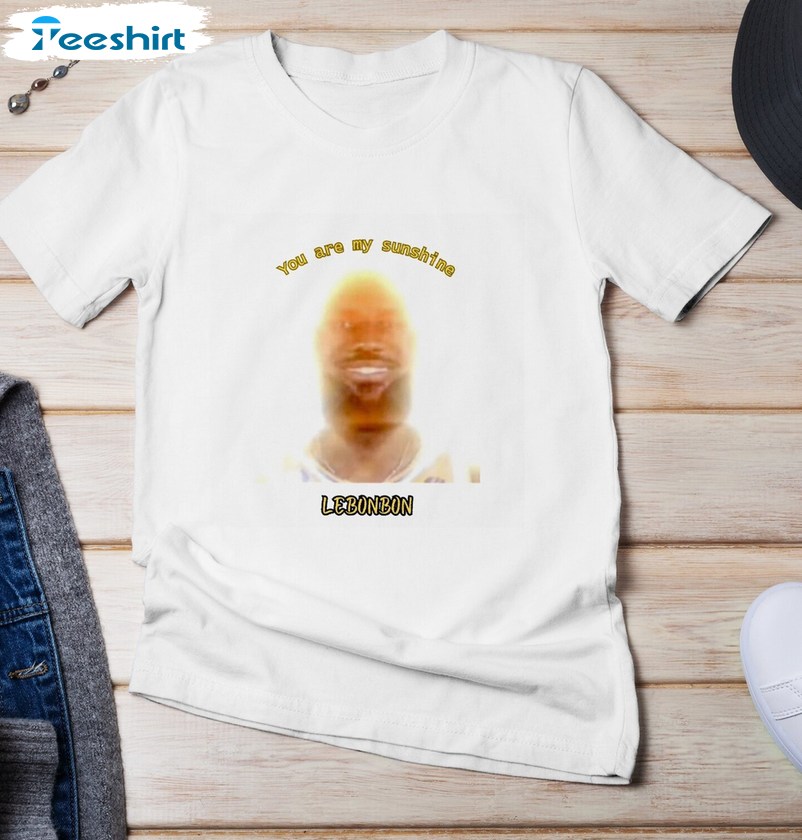 You Are My Sunshine Lebron James Shirt, Meme Viral Short Sleeve Tee Tops