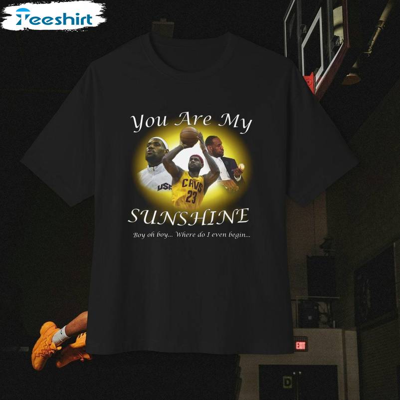 Lebron James You Are My Sunshine Shirt, Funny Nba Basketball Hoodie T-shirt