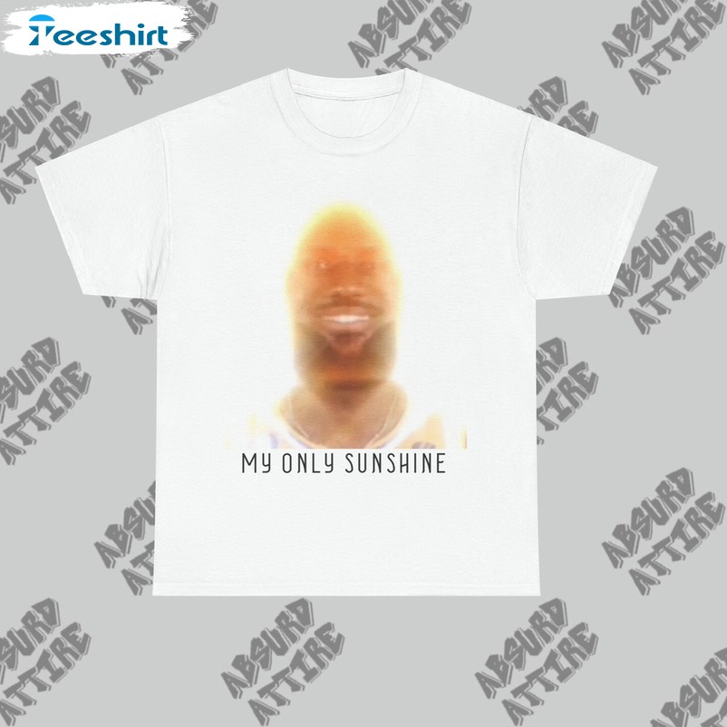 Lebron You Are My Sunshine Trendy Hoodie T-shirt