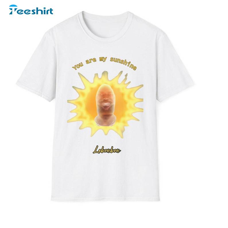 Lebron James Shirt, You Are My Sunshine Unisex Hoodie Long Sleeve