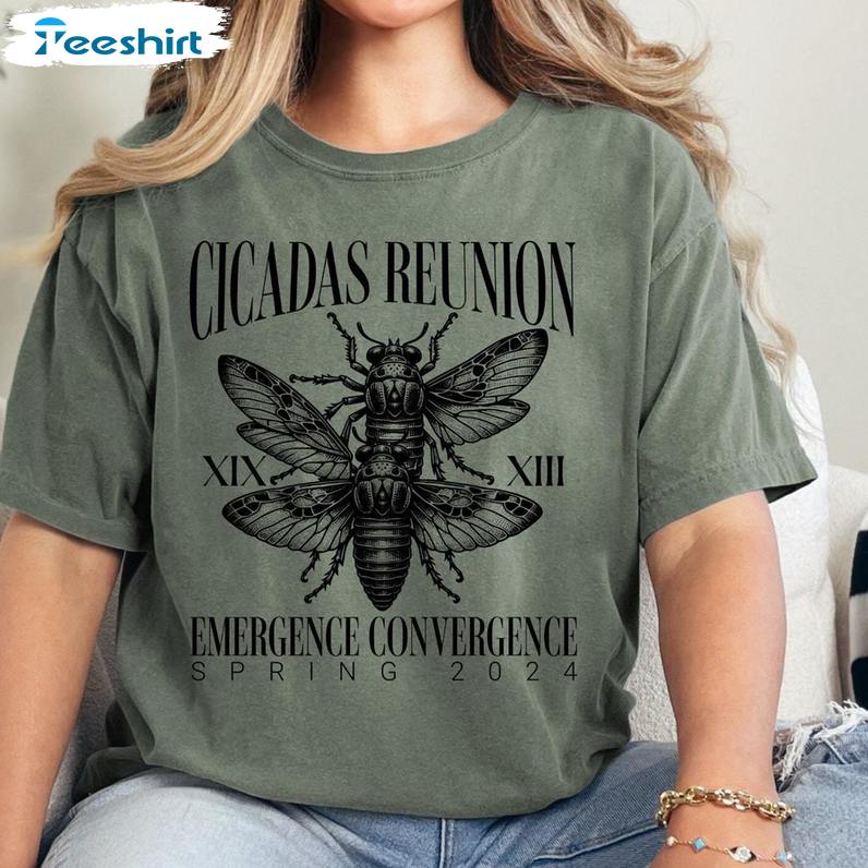 Cicada Apocalypse Shirt, Limited Edition Cicadas Reunion Unisex Hoodie Long Sleeve