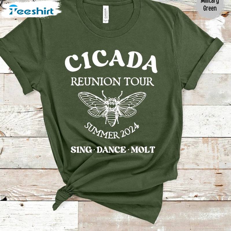 Comfort Cicada Comeback Tour Shirt, Funny Cicada Concert T Shirt Sweater