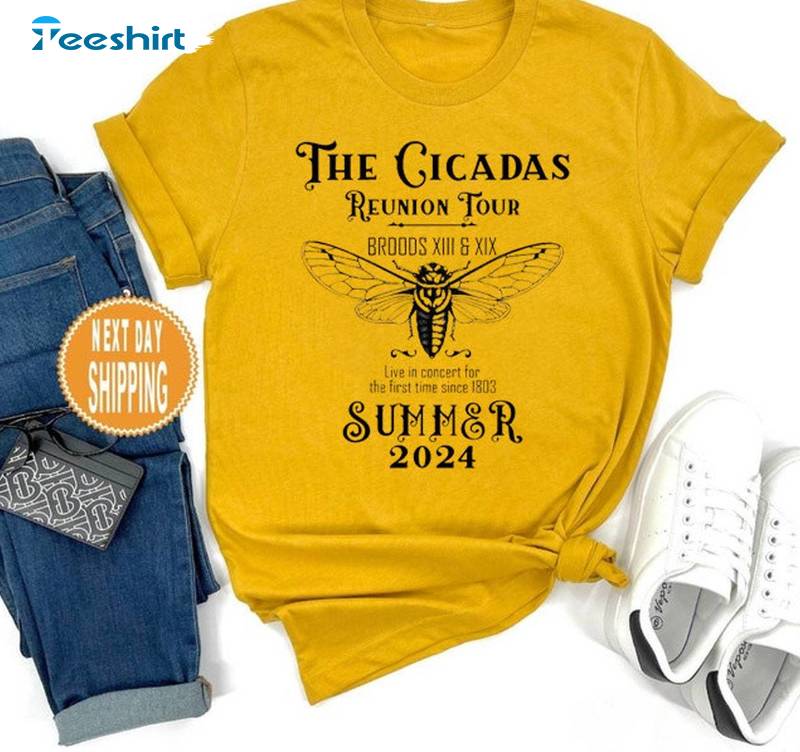 2024 Bug Humor Goblincore Insect Sweatshirt , Groovy Cicada Comeback Tour Shirt Sweater