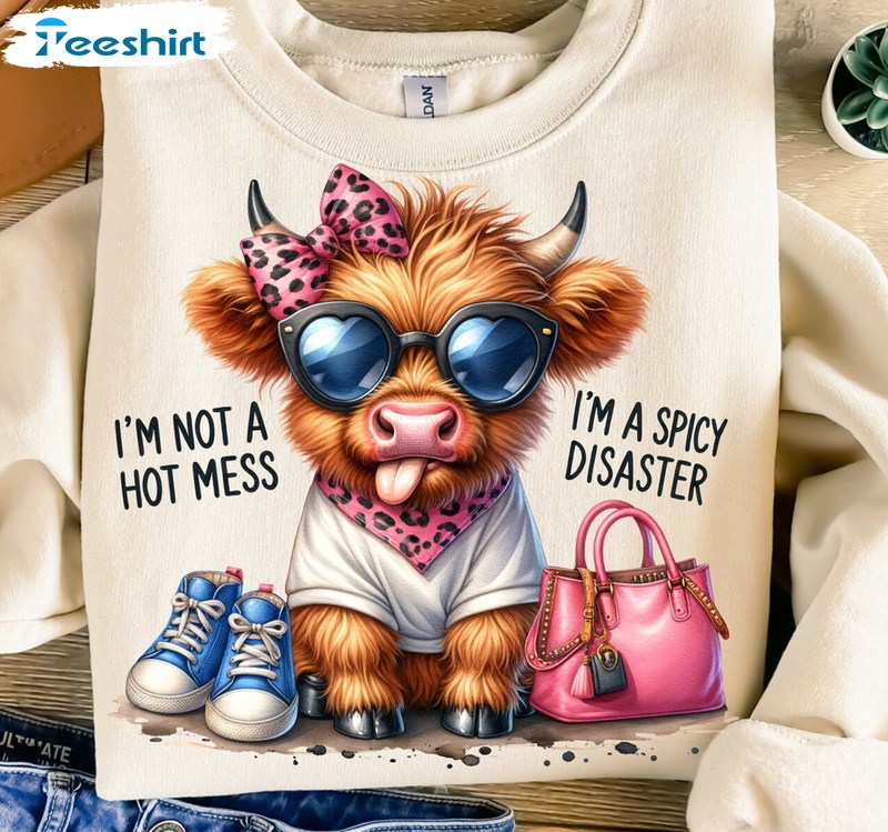 Funny Highland Cow Unisex Hoodie, Groovy I'm Not A Hot Mess I'm A Spicy Disaster Shirt Hoodie